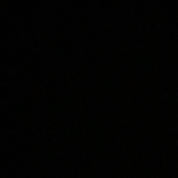 julia_alvarez11